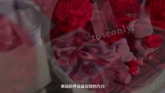 圣诞玫瑰在线观看,在线观看，探寻神秘圣诞节的浪漫传说  第1张